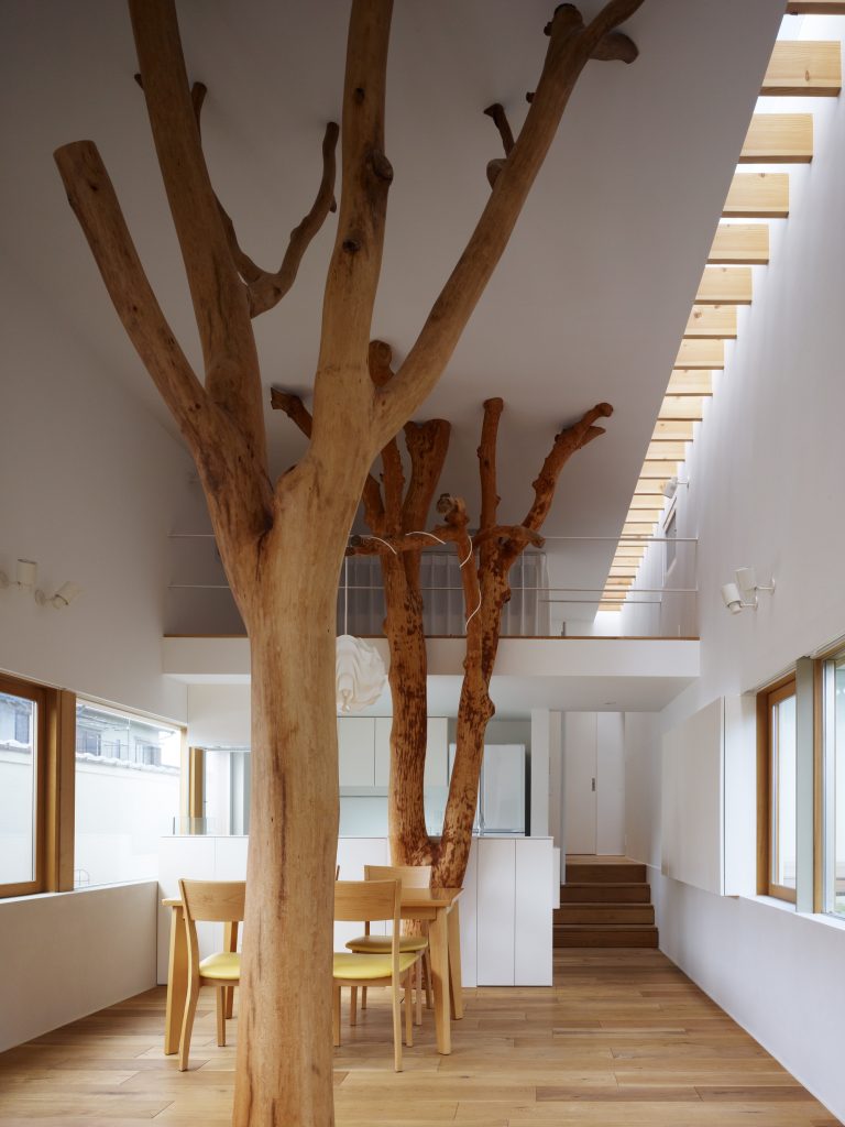 Déco avec arbres et troncs! Voici 20 exemples magnifiques