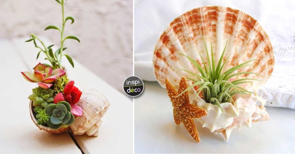 Une Petite Jardiniere Dans Un Coquillage Voici Idees Magnifiques