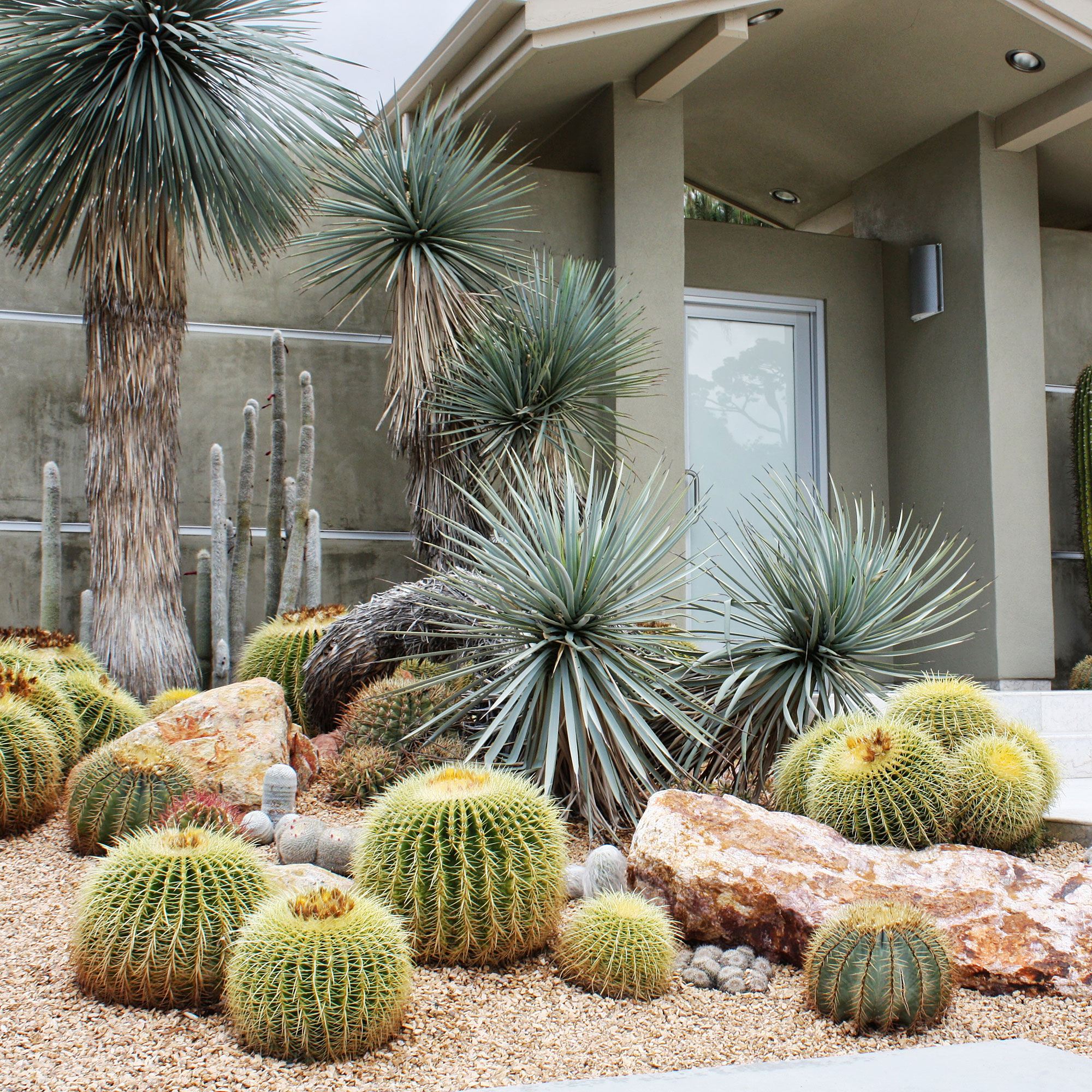 Decorer Son Jardin Avec Cactus E Succulentes 15 Idees Inspirantes