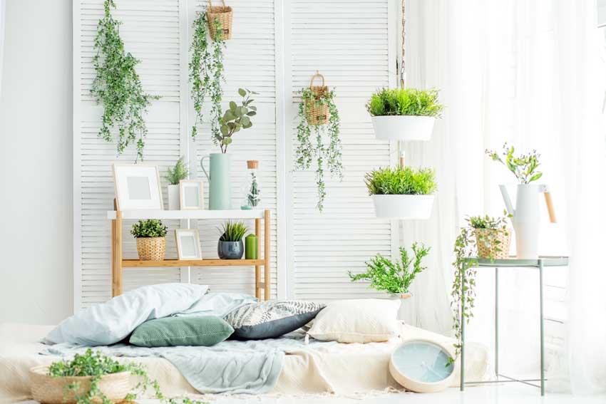 Décorer la chambre à coucher avec des plantes! 15 idées ...