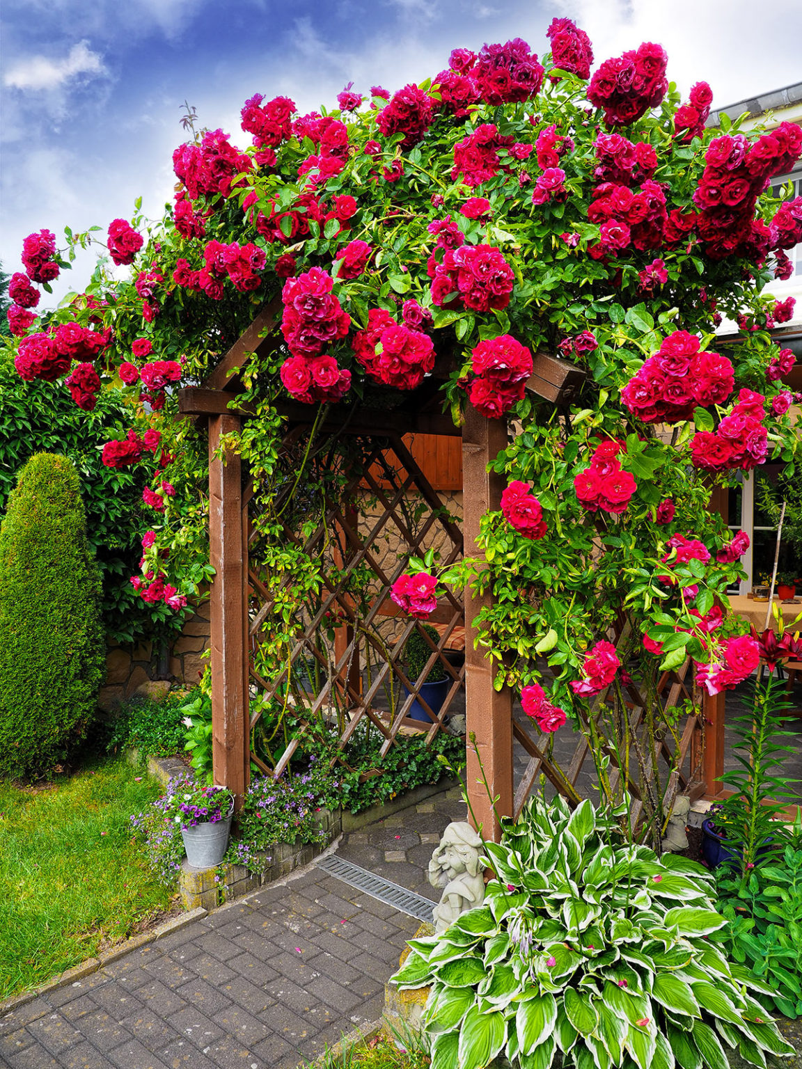 Les roses dans le jardin: quand la magie devient réalité... 13 inspirations
