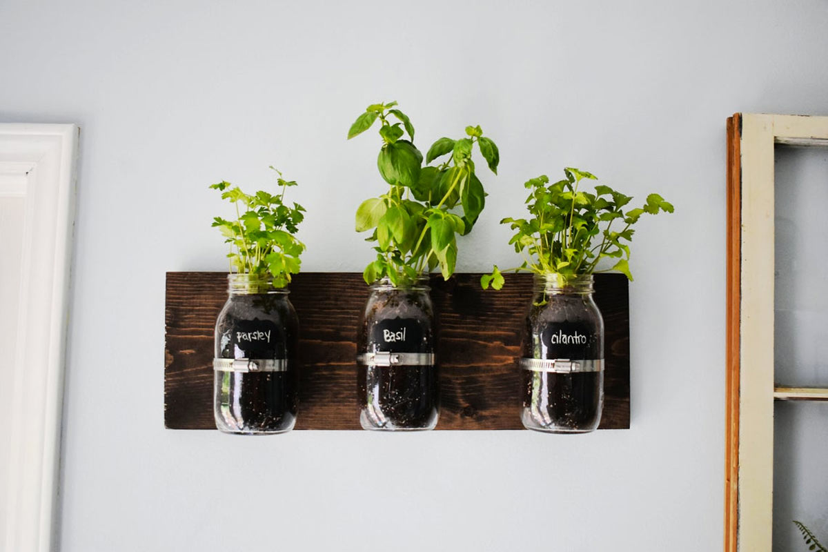 plantes aromatiques bocaux recyclés DIY